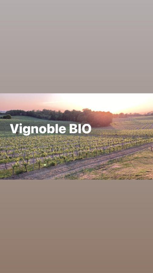 Gite Les Vignes Cravenceres Eksteriør billede